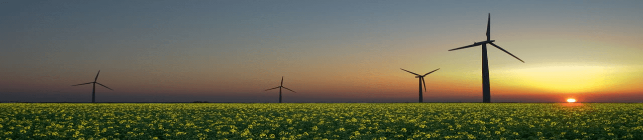 wind turbines at sundown